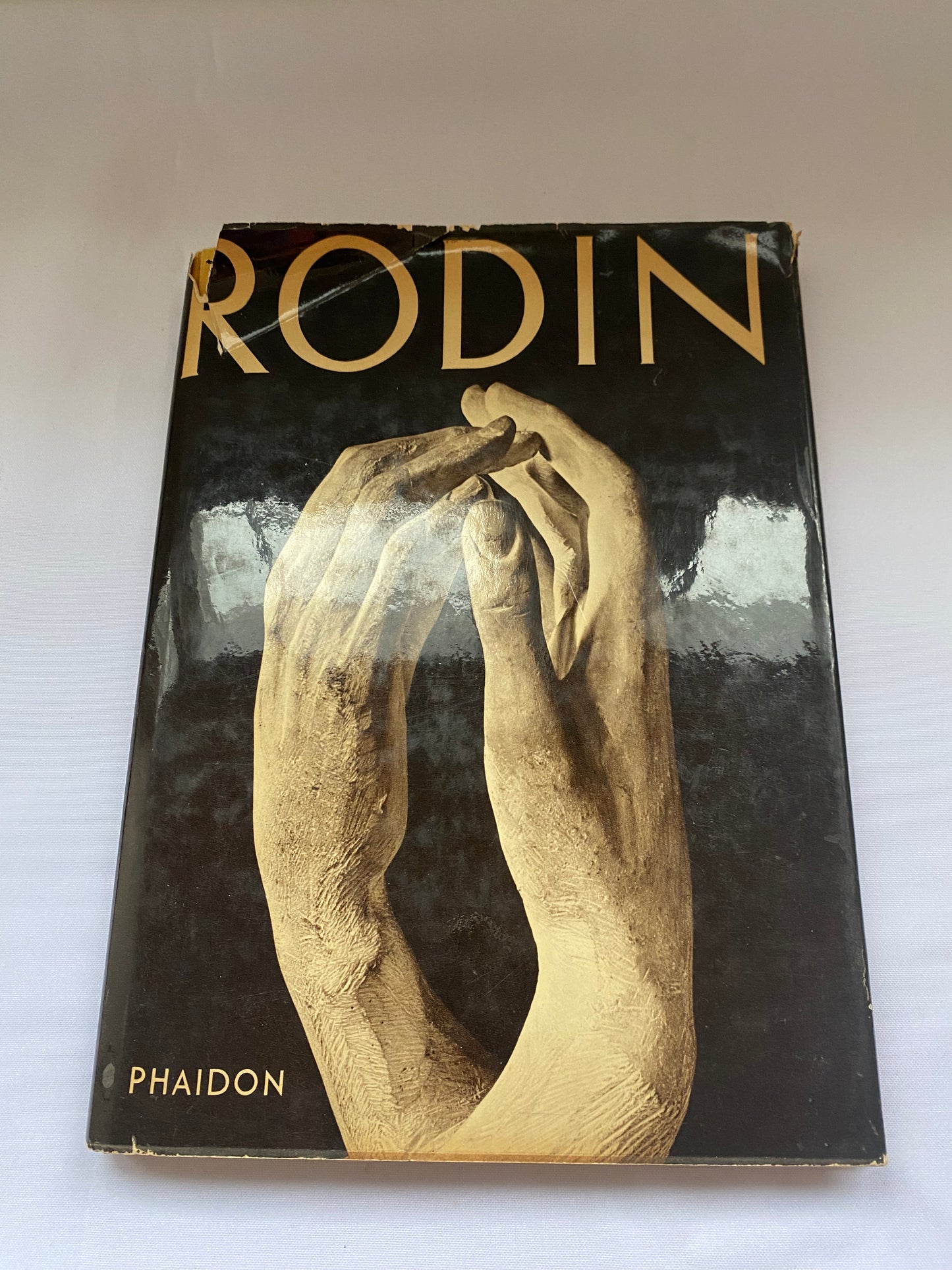 Rodin by Phaidon Book